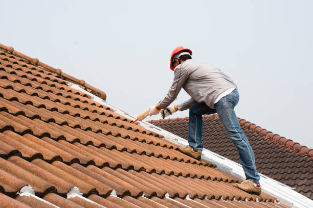 Best Roof Maintenance and Cleaning  in Eutaw, AL