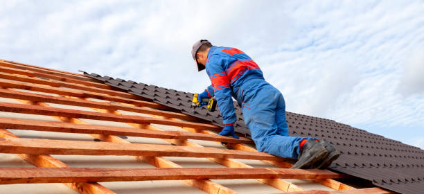 Best Roof Ventilation Installation  in Eutaw, AL