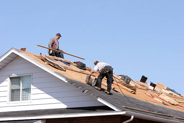Best Metal Roofing Installation  in Eutaw, AL